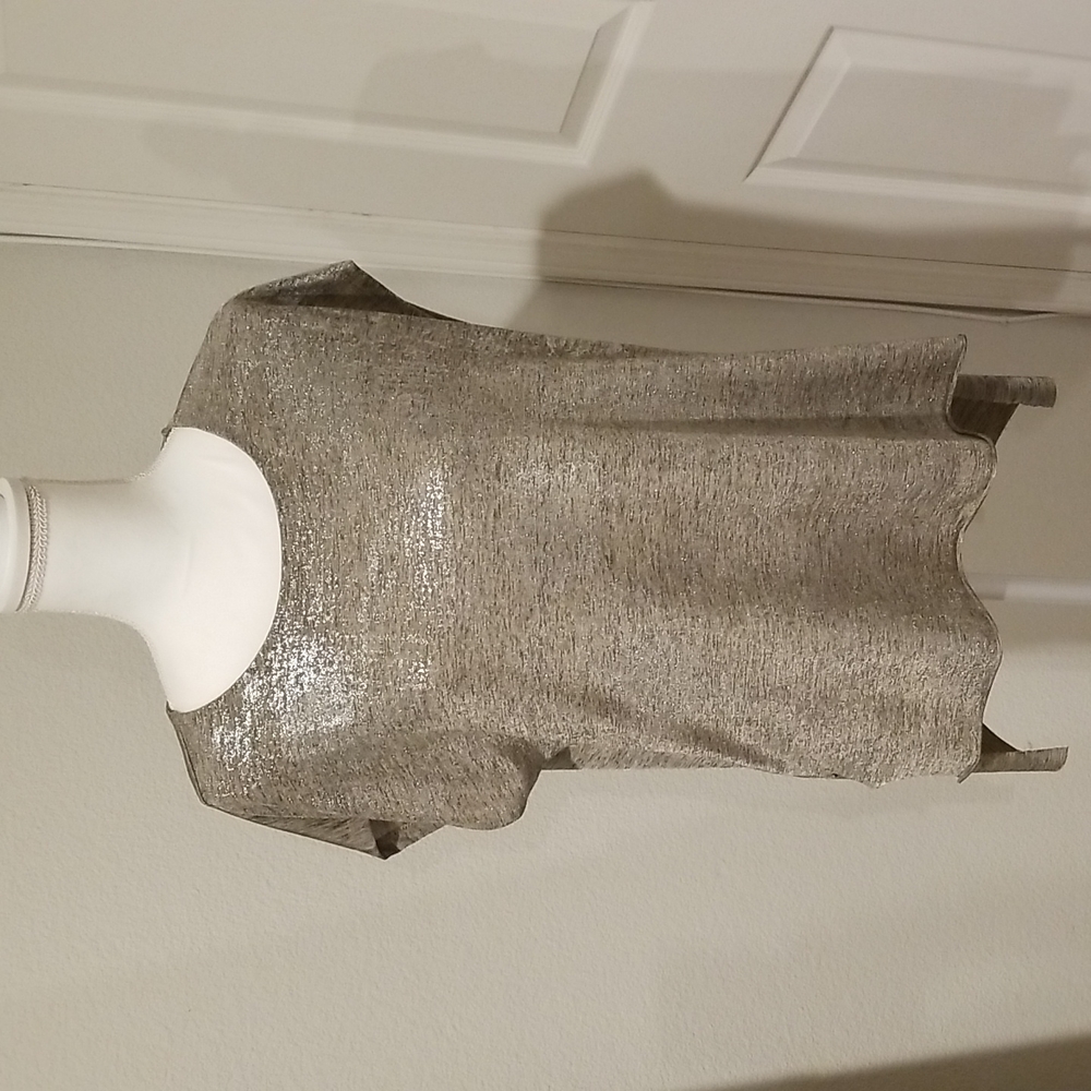 Dantelle Silver Metallic Shimmer Cap Sleeve Top Stretch Hi-Lo Raw Hem